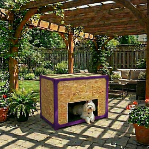 בית מודולרי לחיות מחמד דגם אורבן קיוב צבע סגול