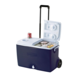 צידנית 57 ליטר עם גלגלים מבית אמגזית