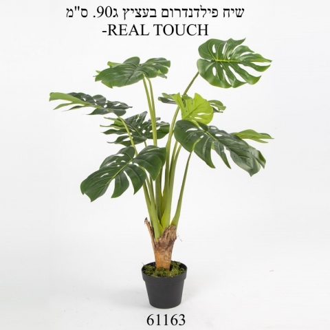 שיח פילדנדרום  REAL-TOUCH גובה 0.90 מטר.