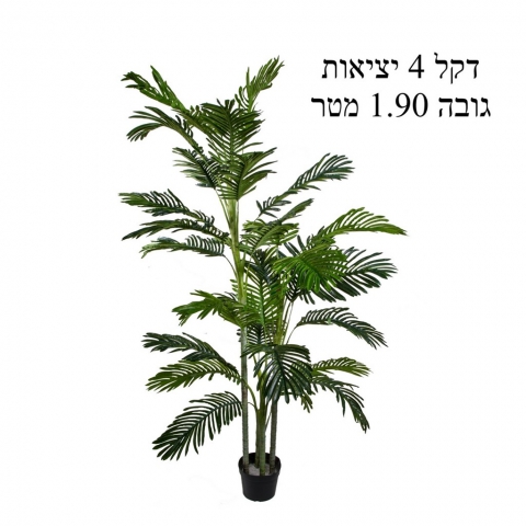 דקל 4 יציאות גובה 1.90 מטר.