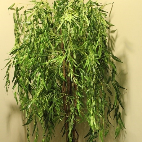 עץ ערביה בוכיה. גוון טיבעי 2224 עלים. גובה - 1.80 מטר.